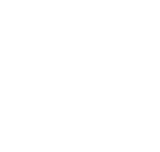 NetaMate Solutions logo